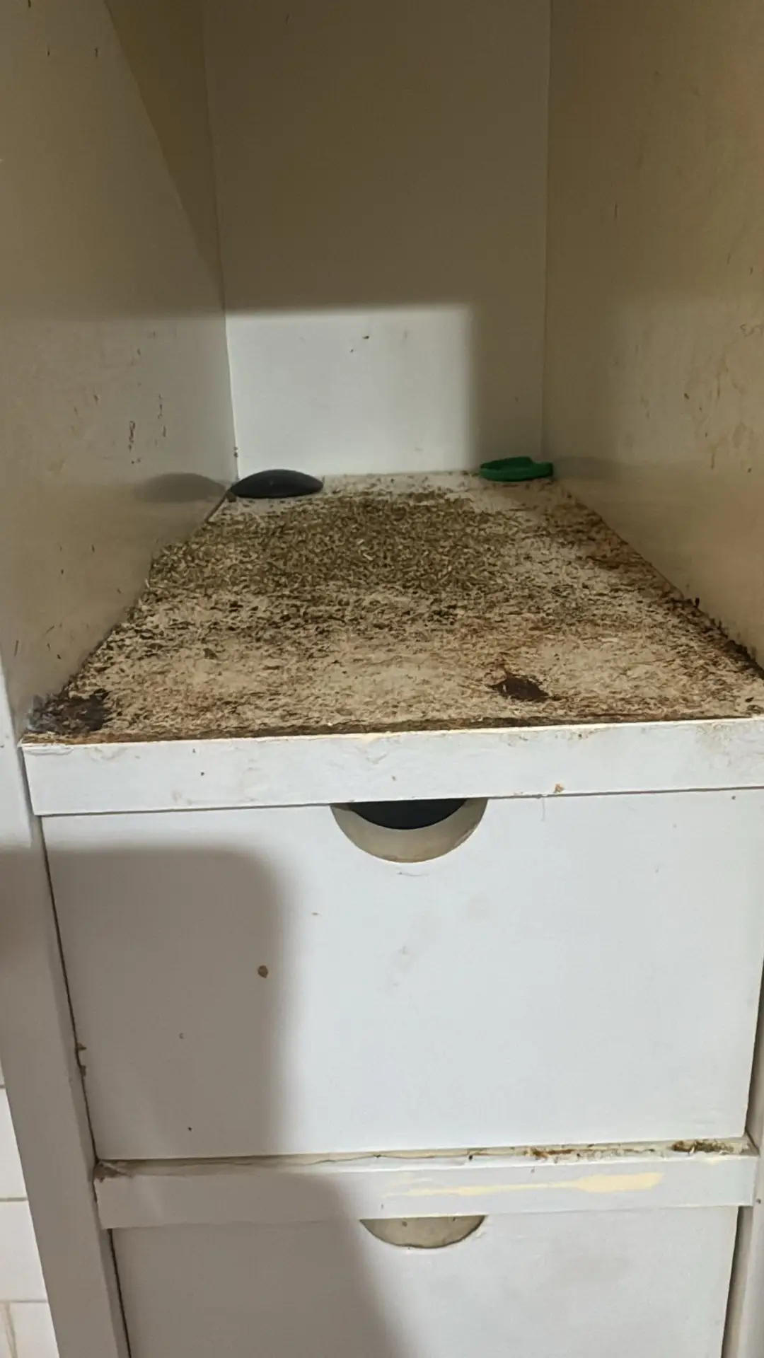 Heavily soiled kitchen cupboards before bond cleaning, Perth