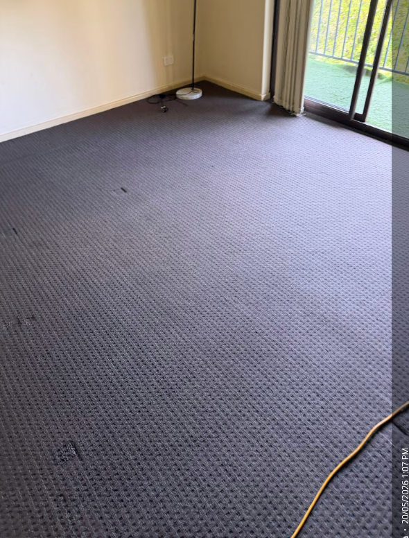 Carpet after bond cleaning, Perth