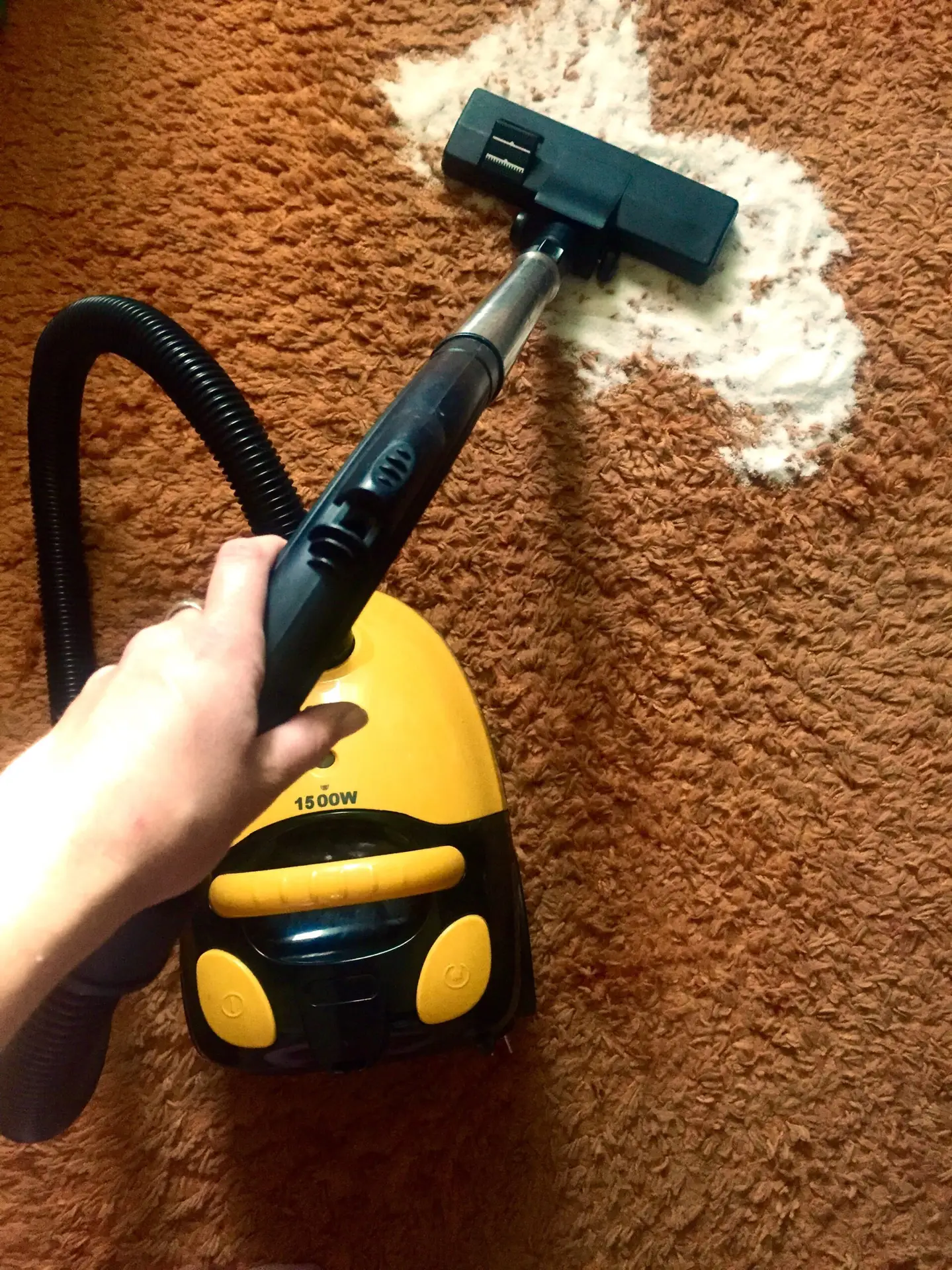 An Urgent Pro carpet cleaning provider in Brisbane treating a pet odour area with enzyme spray before extraction cleaning, with professional equipment visible in a realistic local service setting