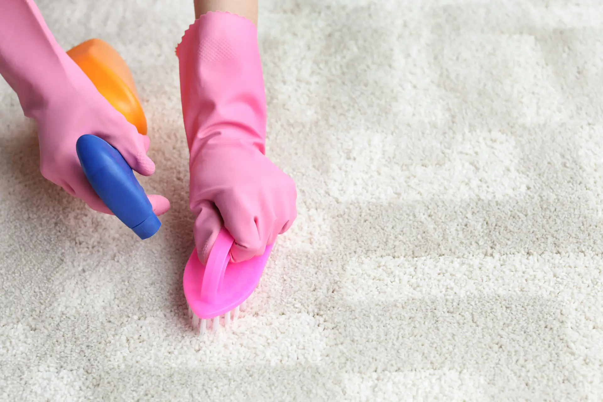 An Urgent Pro carpet cleaning provider in Brisbane applying a pre-treatment spray to a visible carpet stain before steam cleaning, with professional equipment visible in a realistic local service setting