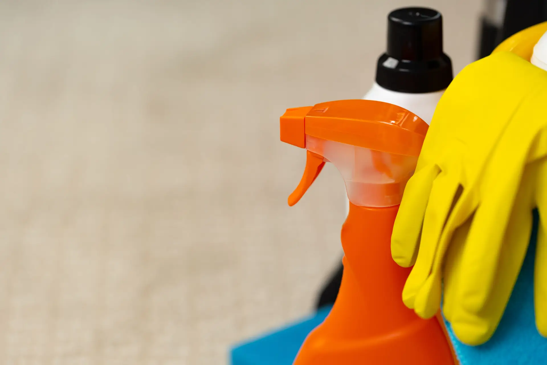An Urgent Pro carpet cleaning provider in Gold Coast treating a pet odour area with enzyme spray before extraction cleaning, with professional equipment visible in a realistic local service setting