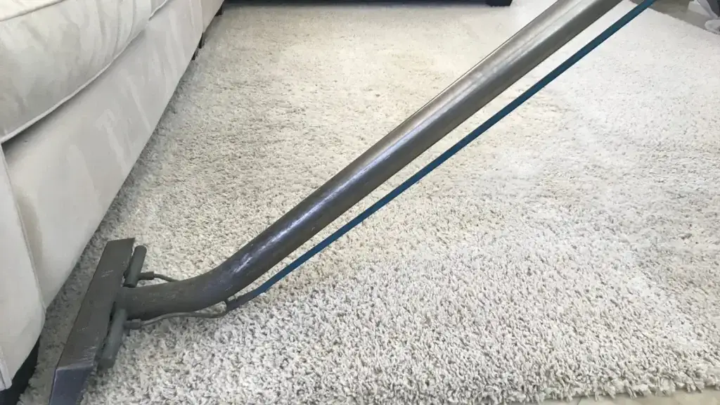 A hot water extraction carpet cleaning wand working on a beige shag rug in a furnished room