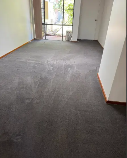 Fresh, clean carpets after bond cleaning, Perth
