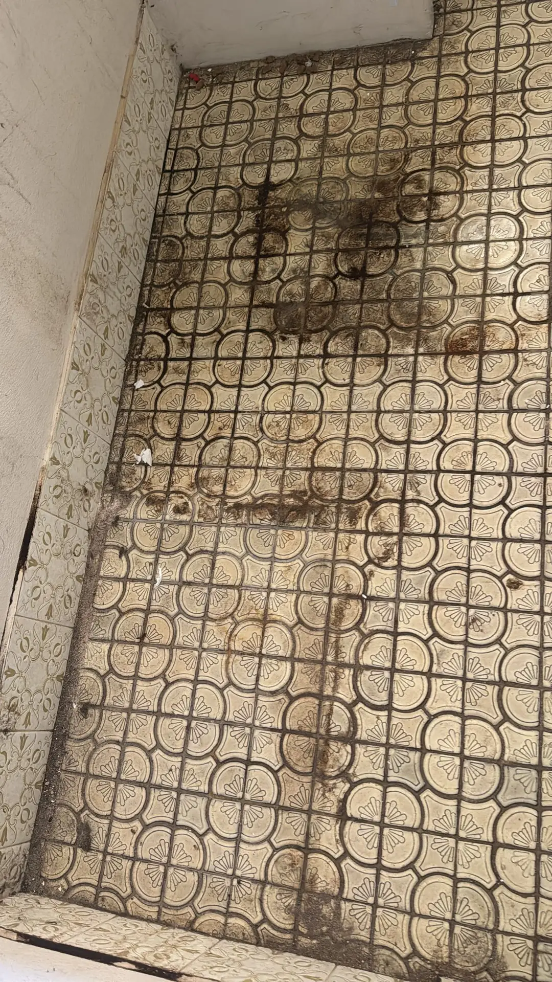 Stained bathroom tiles before bond cleaning, Perth