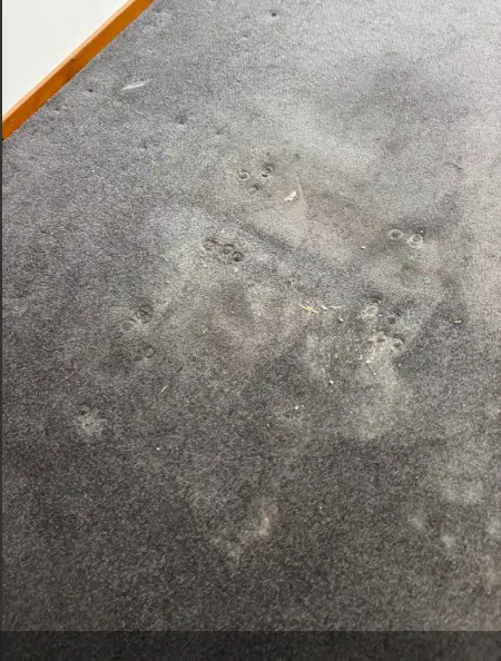 Dirty carpet before bond cleaning, Subiaco property