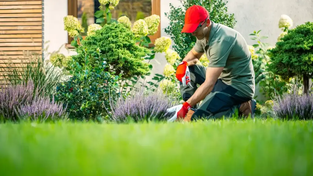 Man tending garden beds at a well-maintained suburban rental property