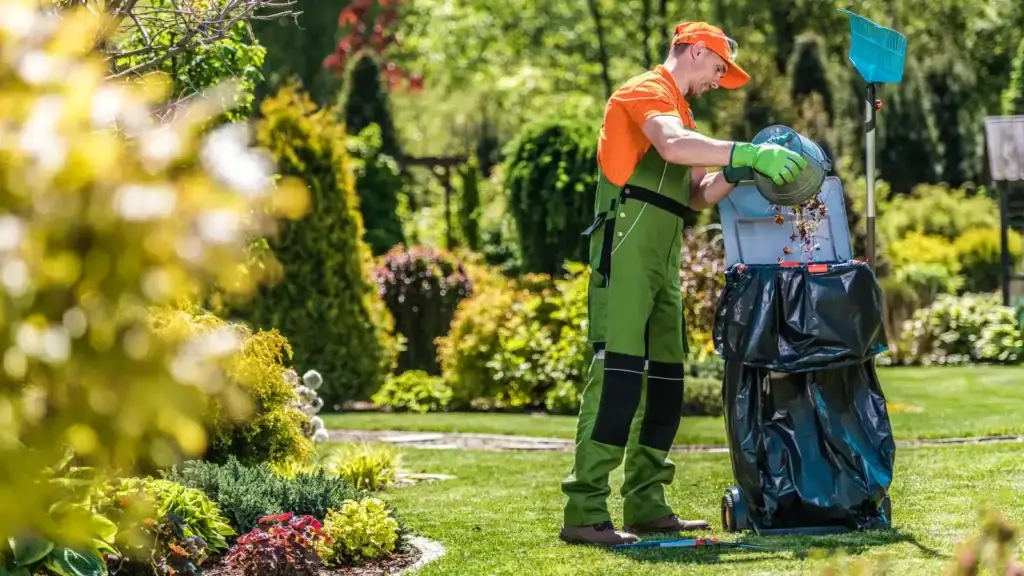 Professional gardener in green uniform collecting and shredding yard waste on a well-maintained residential lawn during a garden tidy-up service