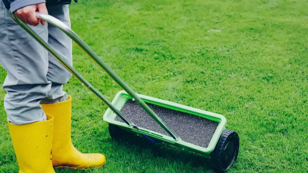 Person in yellow rubber boots pushing a wheeled granular fertiliser spreader across a dense green lawn