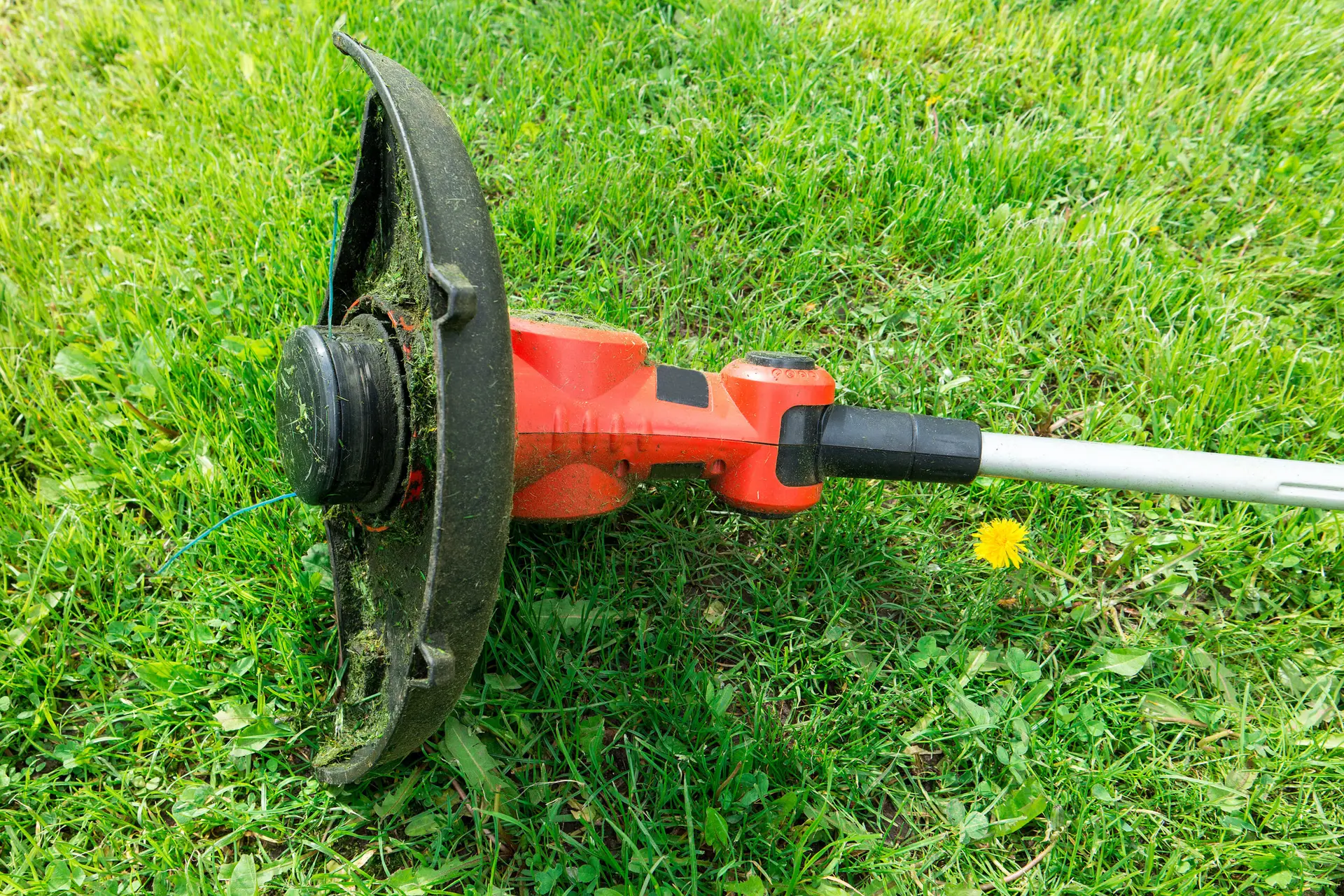 An Urgent Pro lawn mowing provider in Brisbane laying out professional mowing equipment including mower, trimmer, blower and shears before the job, with professional equipment visible in a realistic local service setting
