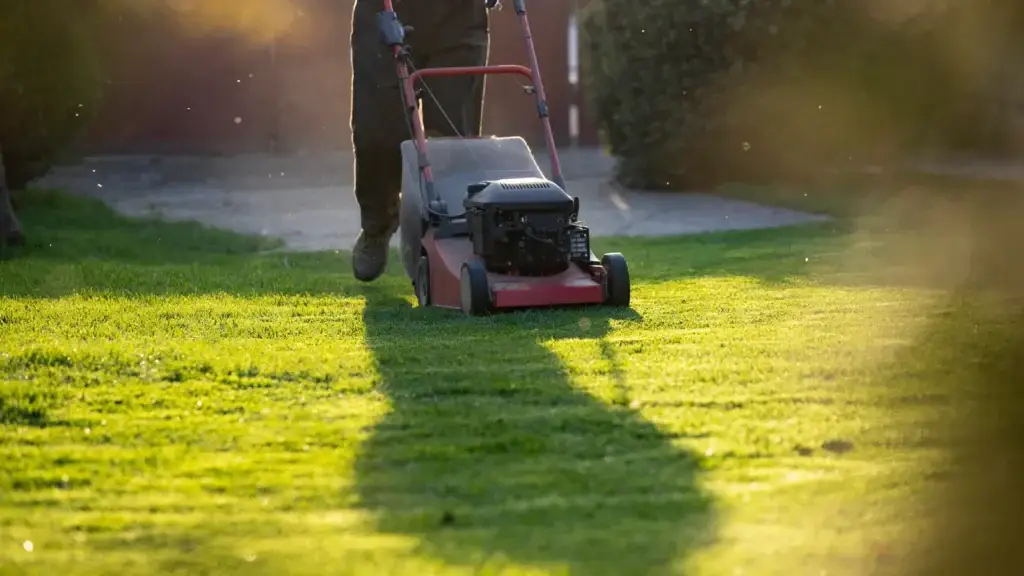 Person pushing a red lawn mower at golden hour with mowing strips visible in low-angle sunlight