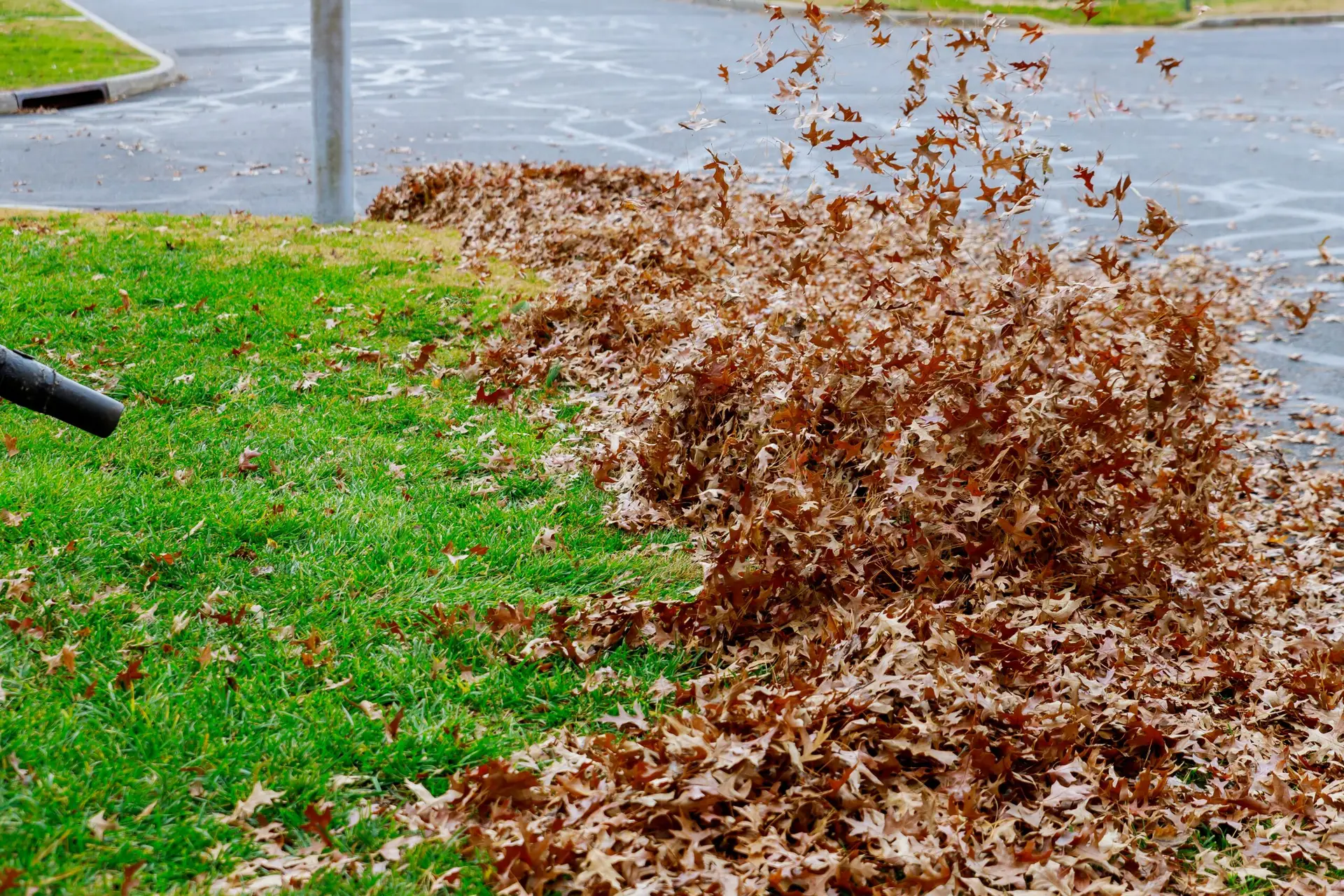 An Urgent Pro lawn mowing provider in Melbourne using a leaf blower to clear grass clippings from the path and driveway after mowing, with professional equipment visible in a realistic local service setting