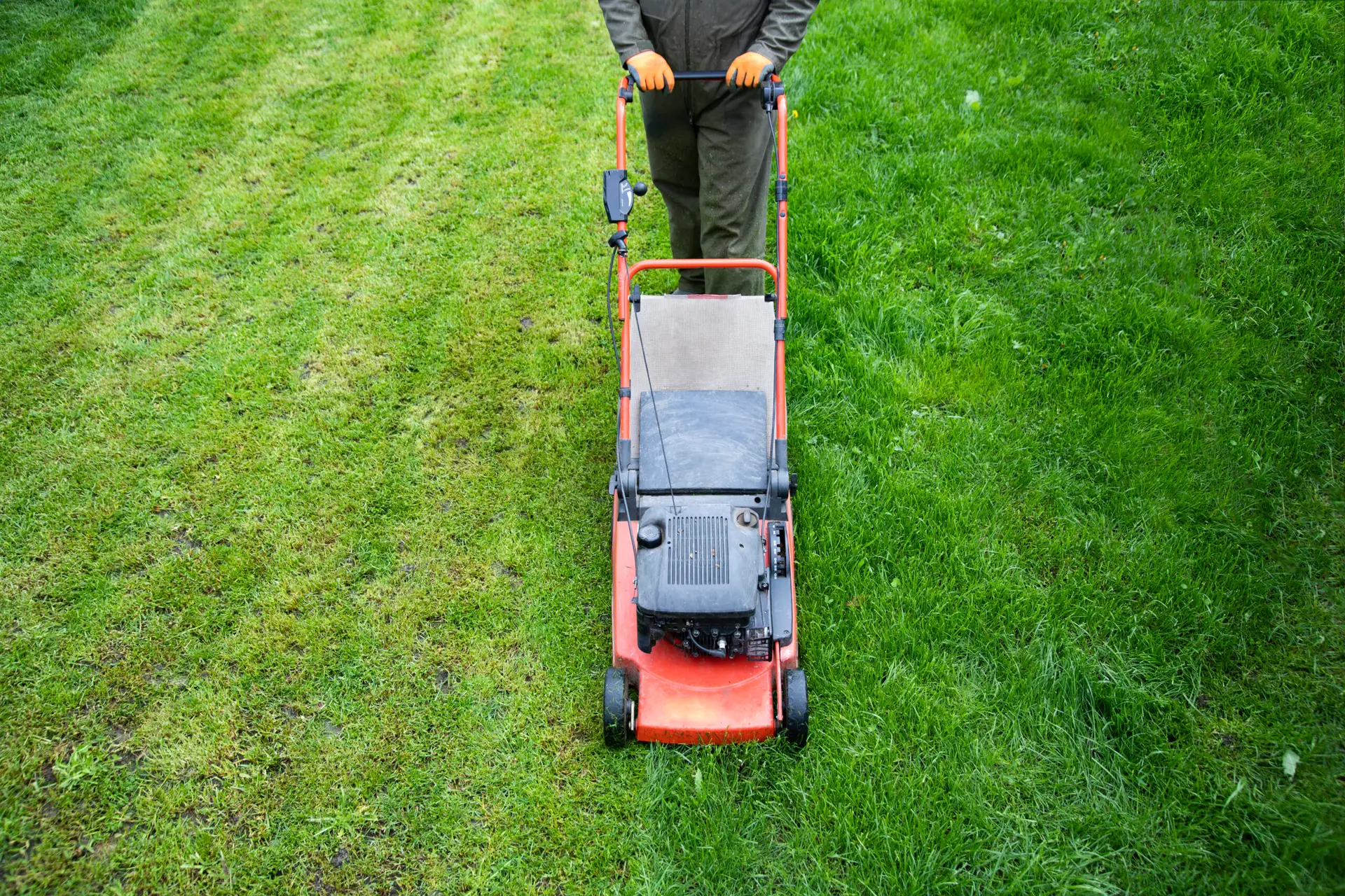 An Urgent Pro lawn mowing provider in Melbourne operating a professional petrol mower across a residential backyard leaving clean mowing rows, with professional equipment visible in a realistic local service setting