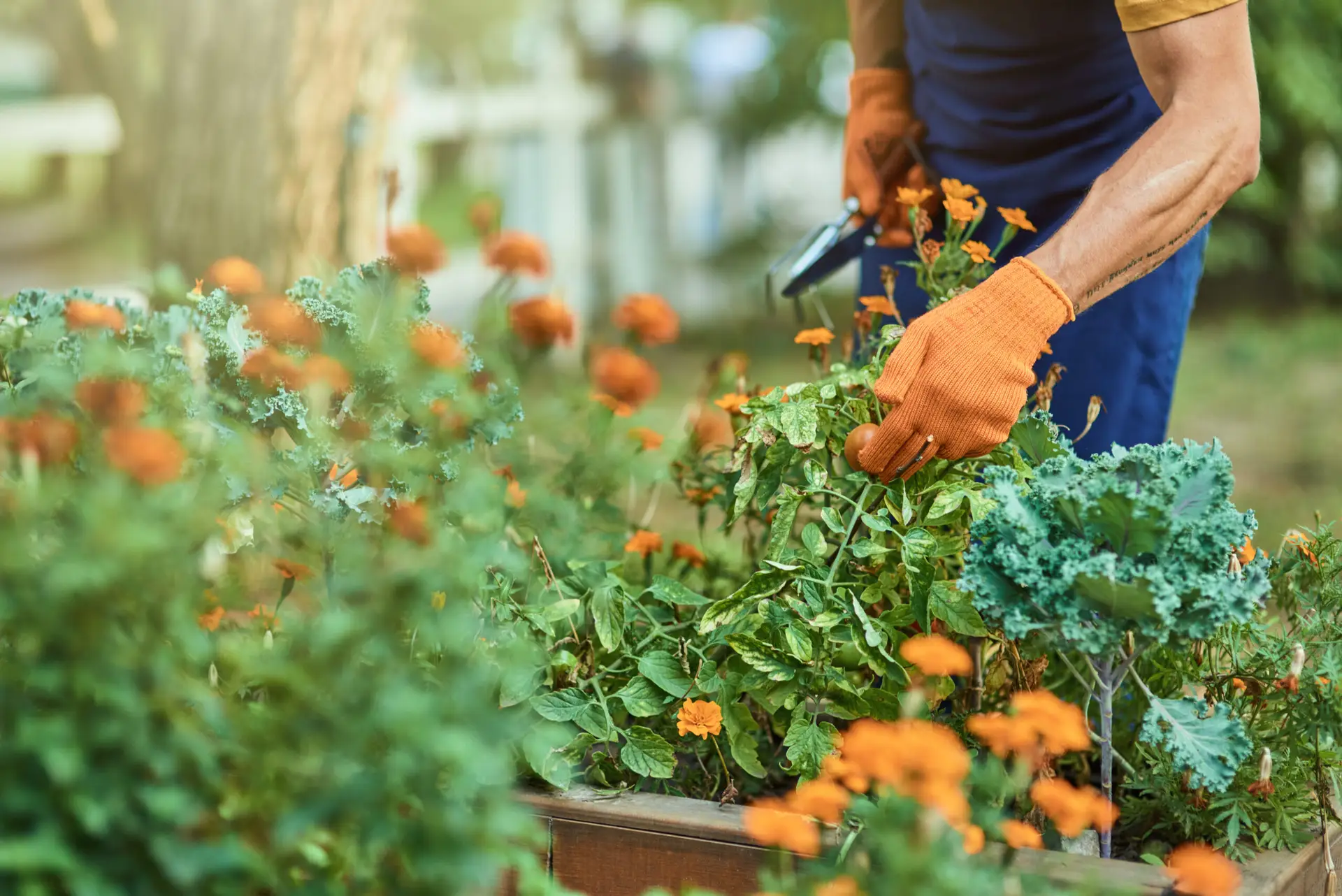 An Urgent Pro lawn mowing provider in Perth clearing leaf litter and tidying the edges of garden beds with a rake and hand tools, with professional equipment visible in a realistic local service setting