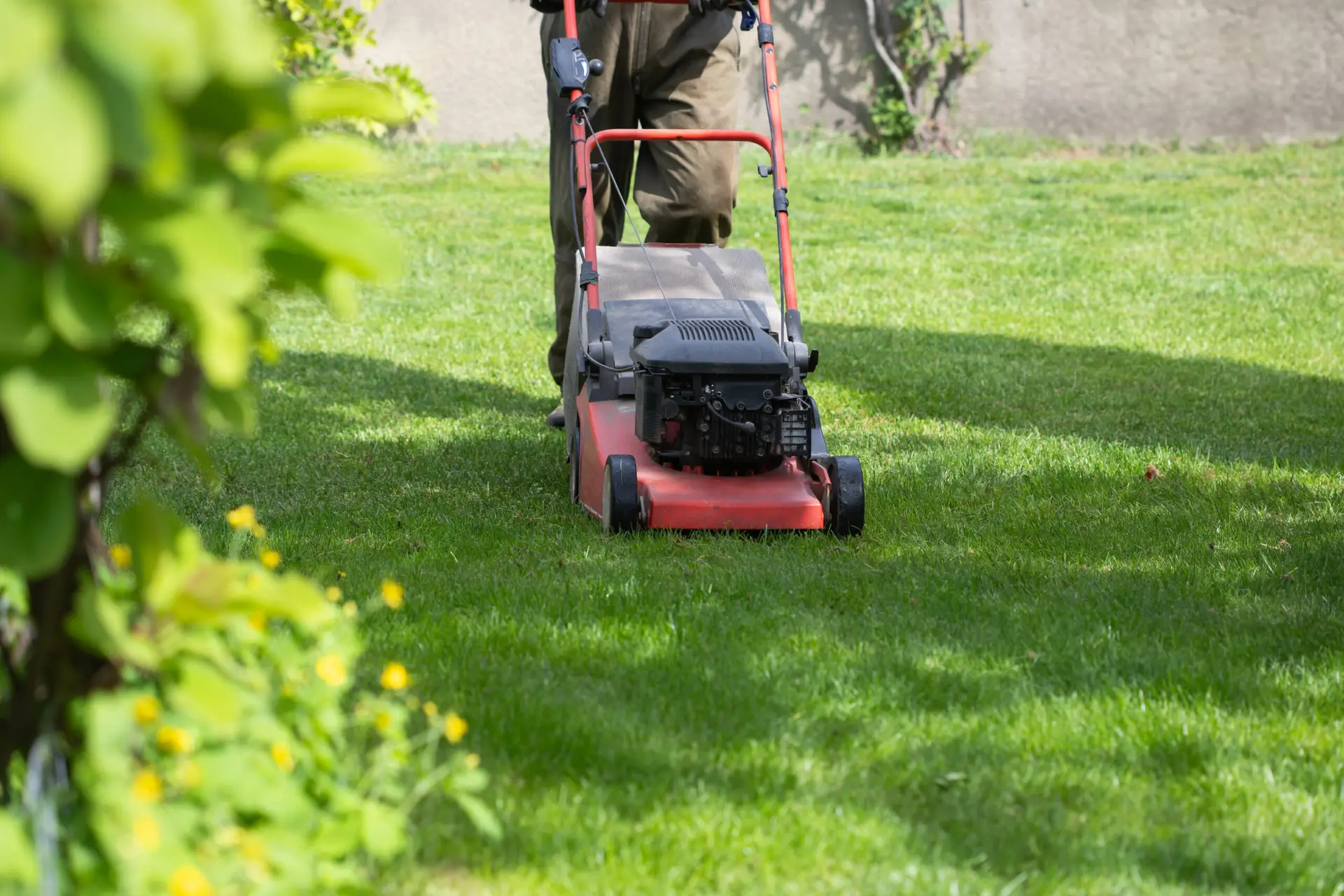 An Urgent Pro lawn mowing provider in Perth operating a professional petrol mower across a residential backyard leaving clean mowing rows, with professional equipment visible in a realistic local service setting