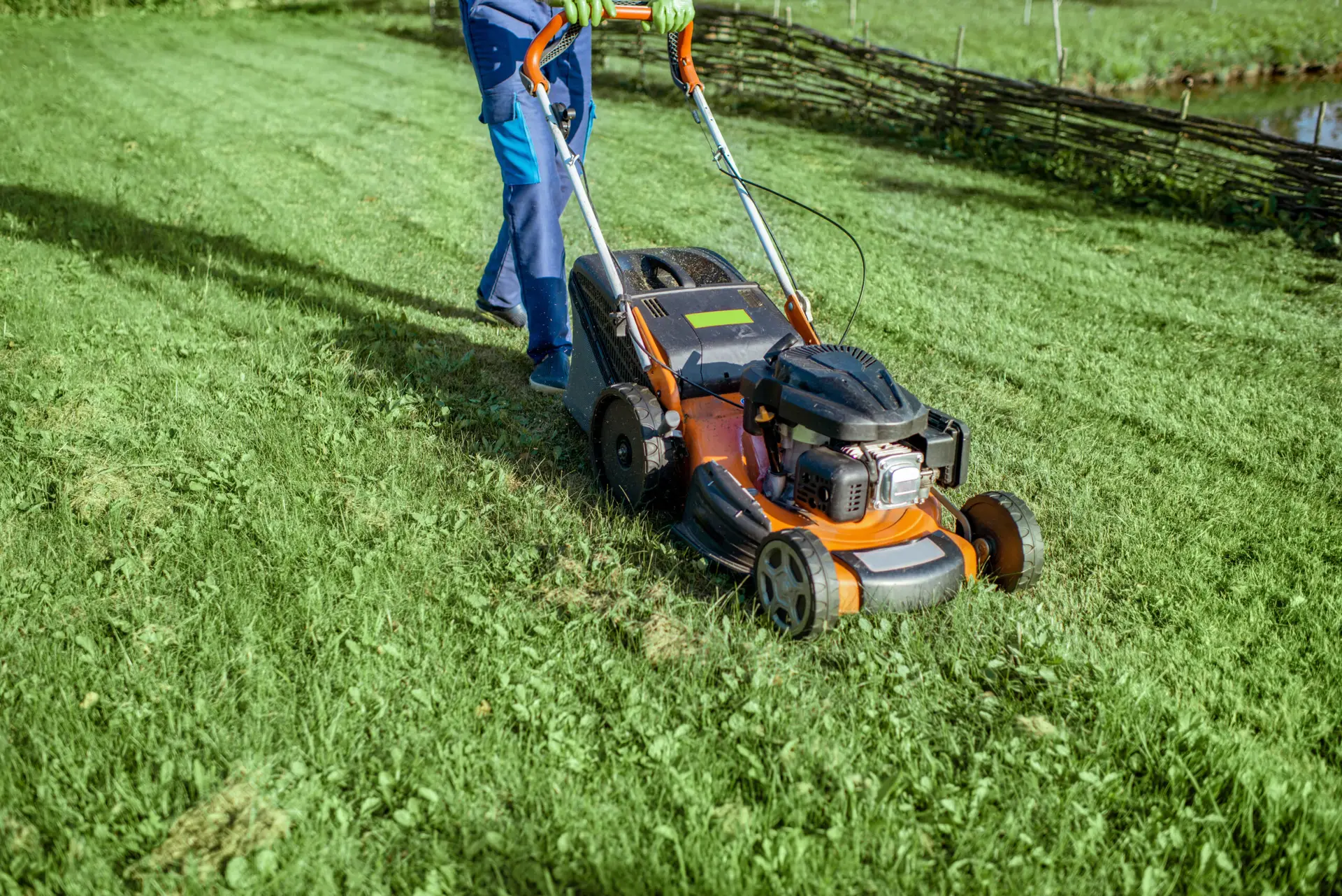 An Urgent Pro lawn mowing provider in Sydney operating a professional petrol mower across a residential backyard leaving clean mowing rows, with professional equipment visible in a realistic local service setting