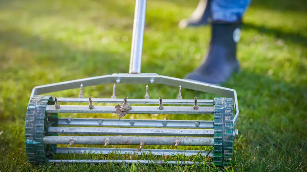Rolling spike aerator with steel tines on a green residential lawn, person in gumboots in background