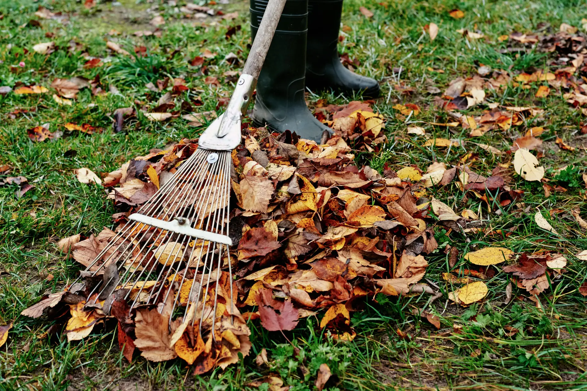 An Urgent Pro rubbish removal provider in Gold Coast showing a property cleared of all old furniture and garden waste with a clean open space, with professional equipment visible in a realistic local service setting