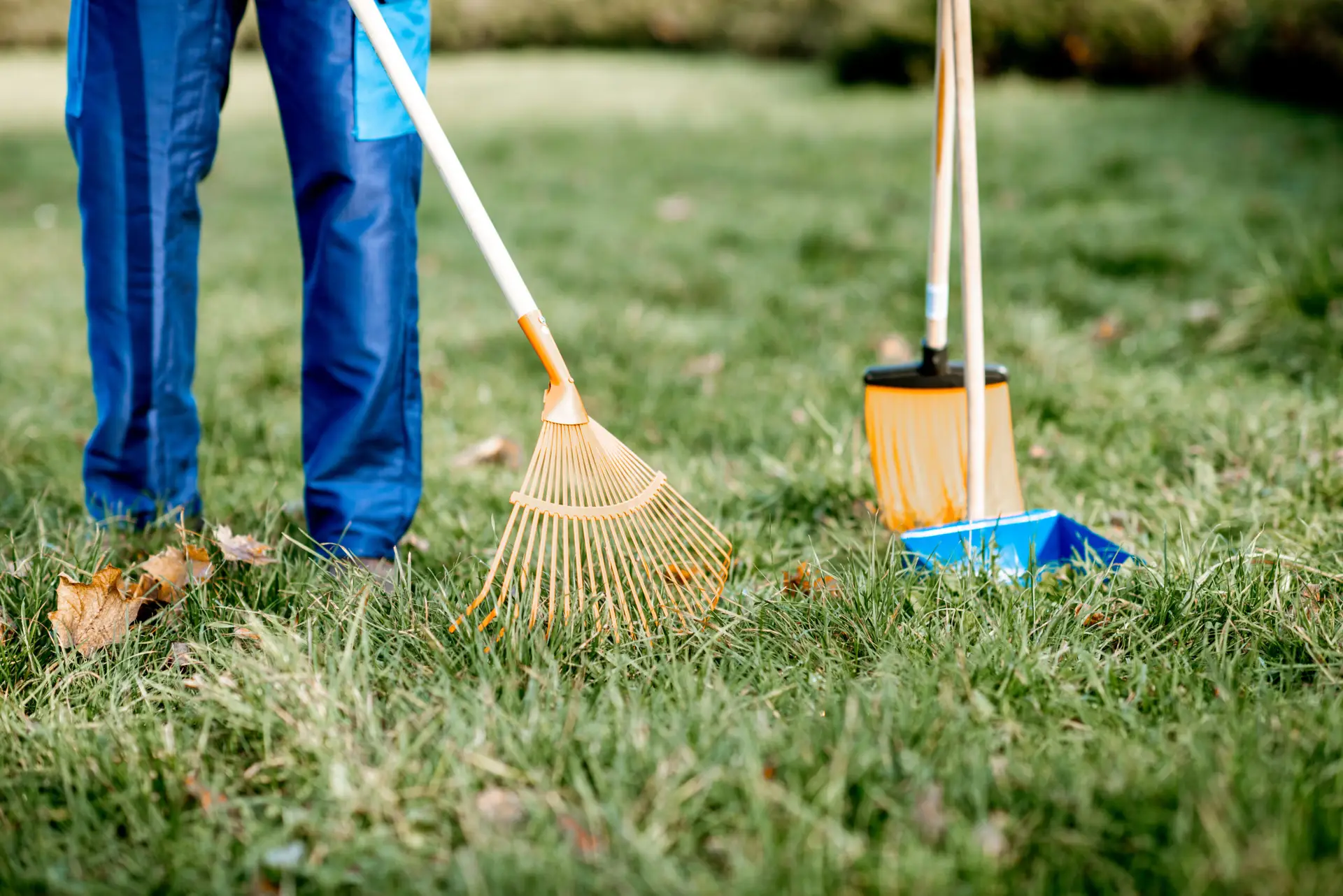 An Urgent Pro rubbish removal provider in Melbourne showing a property cleared of all old furniture and garden waste with a clean open space, with professional equipment visible in a realistic local service setting