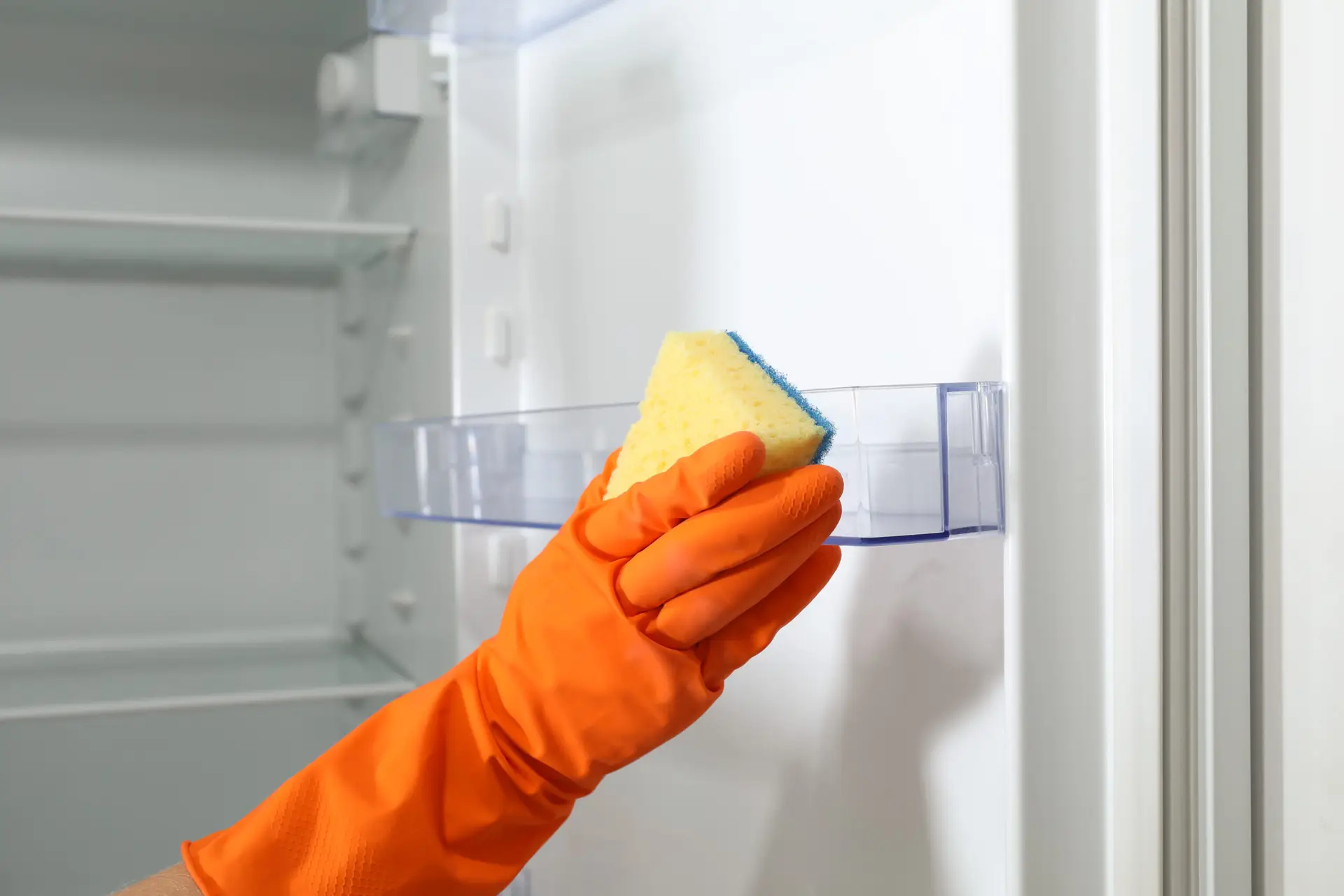 An Urgent Pro cleaner removing the shelves from a rental fridge in a Gold Coast property and wiping down each shelf with an antibacterial spray and cloth before returning them to a clean interior, with the fridge door open and shelves stacked on the bench